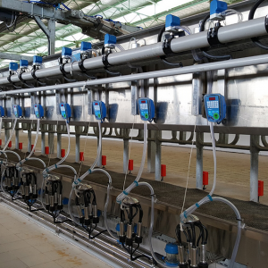 Salle de traite avec sortie rapide