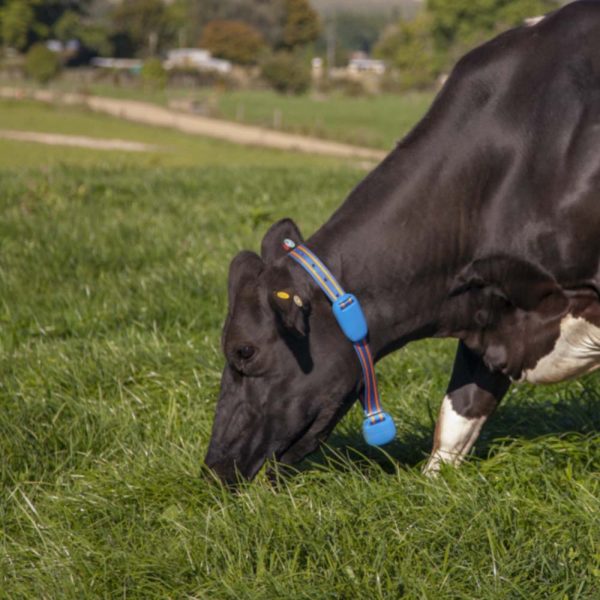 Herd Management Systems